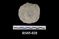 藏品(鐘乳石)的圖片